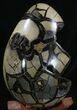 Septarian Dragon Egg Geode With Removable Section #33725-2